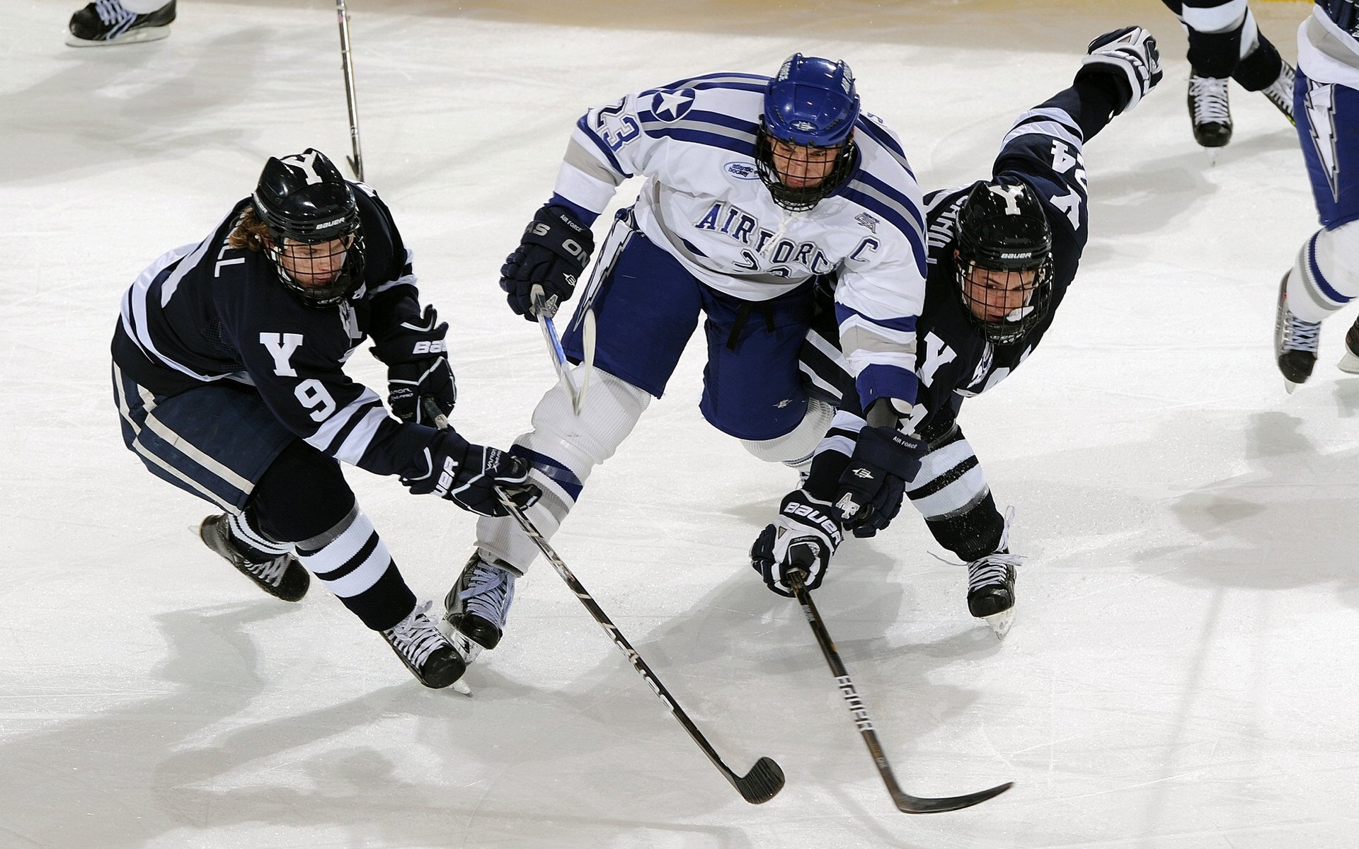 世界极限运动节在加拿大盛大举办,新星闪耀全场,世界极限运动会2021视频